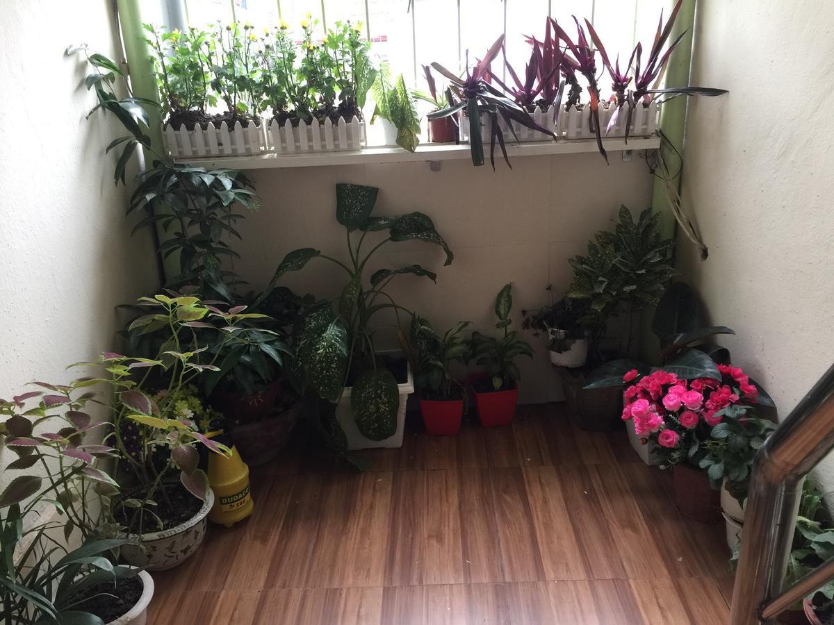 Cozy Homestay Hanoi Esterno foto